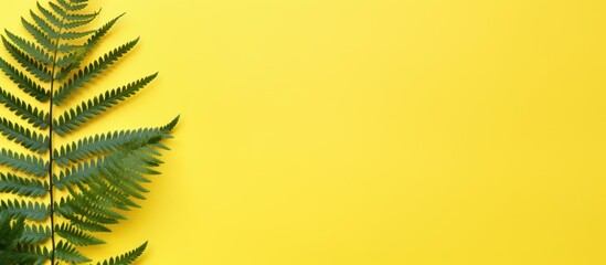Poster - Top view flat lay of a fern on yellow paper background with ample copy space image.