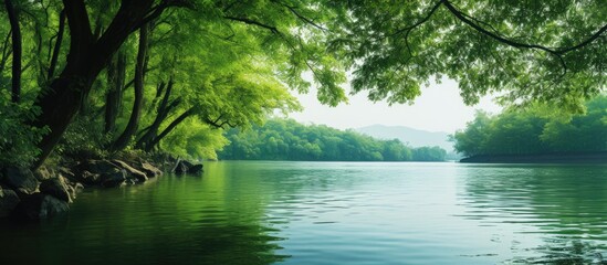 Poster - The picturesque view of verdant trees by the shoreline in a copy space image.