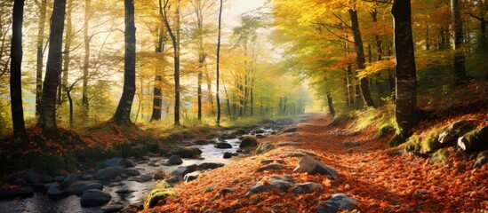 Poster - Autumn in the forest with vibrant foliage and a serene atmosphere, ideal for a walk amidst nature's beauty with a background of beautiful scenery and copy space image.