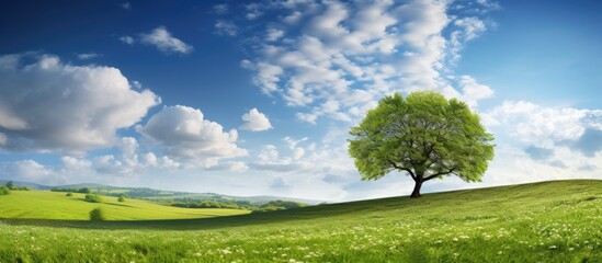 Poster - Scenic landscape with a blue sky, beautiful clouds, and a tree-filled meadow, suitable as a background image for a summer poster with copy space.