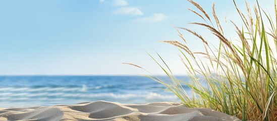 Poster - In the morning, there is a sandy beach scene with seagrass, perfect for a copy space image.