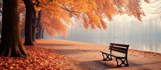 Poster - Autumn park with beautiful trees and leaves, a picturesque fall scenery with a serene beauty of nature, perfect for a copy space image.