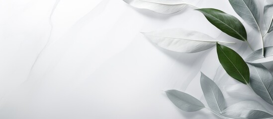 Aufkleber - Marble white-gray backdrop with leaf shadow on wall studio background for showcasing cosmetic products online with a nature-inspired minimal concept in a copy space image.