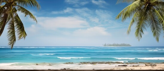 Poster - Tropical beach scene with coconut palm trees and ocean view, perfect for a copy space image.