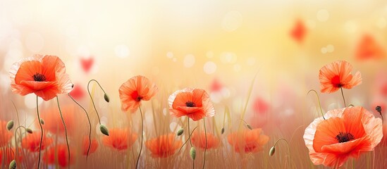 Poster - The vibrant wild poppies swayed gracefully in the meadow, creating a picturesque scene with copy space image.