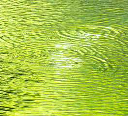 Canvas Print - Circles on the surface of water in nature. Abstract background