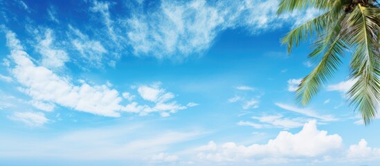 Poster - Blue sky paradise wallpaper with copy space image.