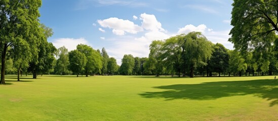Aufkleber - Park with trees and green space, suitable for outdoor activities, with ample copy space image.
