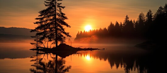Wall Mural - Nature's silhouette at sunrise over a serene lake, providing a picturesque setting with a stunning first light of day; ideal for using as a copy space image.