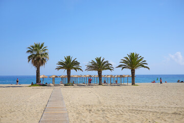 Wall Mural - The sandy beach with palm trees of Nei Pori, Olympic riviera - Greece