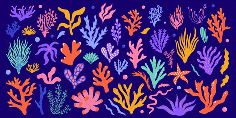 Wall Mural - set of various underwater plants, seaweed, algae, corals, marine creatures, species. sea and ocean f