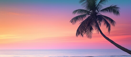 Poster - Travel and unwind on a tropical beach at sunset, featuring a palm tree silhouetted against a pink sky, ideal for a holiday retreat with a scenic copy space image.