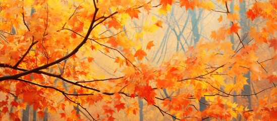Aufkleber - Vibrant autumn foliage in a natural setting with space for writing or images.
