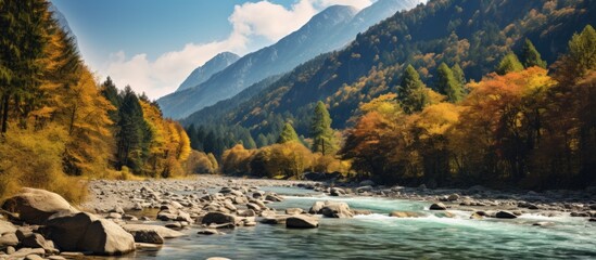 Poster - Autumn at a river flowing through a high mountain, with a scenic backdrop perfect for a copy space image.