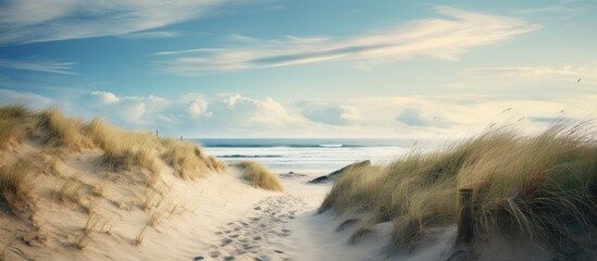 Poster - Sandy path winding through the dunes with a panoramic view of the beach, a perfect copy space image.