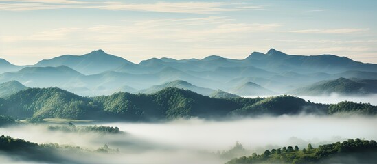 Poster - Fog on mountain in the morning. Creative banner. Copyspace image