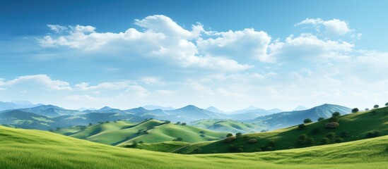 Poster - Green Hills. Creative banner. Copyspace image