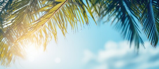 Sticker - Blurred blue sky and sea with bokeh light and leaves of coconut palm tree Landscape of tropical summer Summer vacation concept. Creative banner. Copyspace image