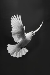 Sticker - White bird in flight