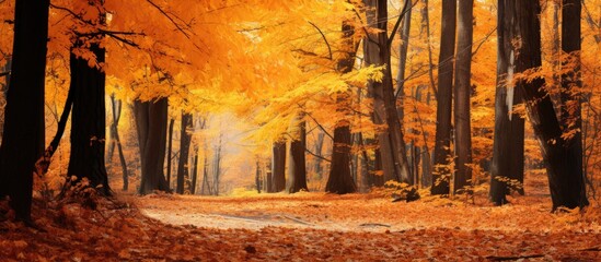 Poster - leaves tinged with autumnal tints. Creative banner. Copyspace image