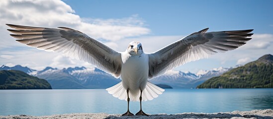 Poster - Portrait of Seagull with amazing wing position and click. Creative banner. Copyspace image