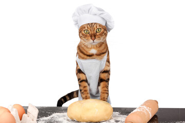 The cat is a baker in an apron and a hat with dough.