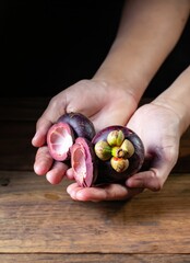 Wall Mural - hands with handful of mangosteen fruits, on a wooden table