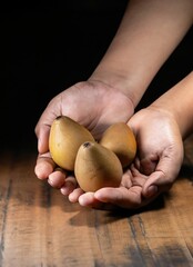 Wall Mural - hands with handful of sapodilla fruits