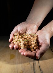 Wall Mural - hands with handful of white currants