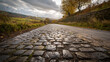 © Isa - cobble road