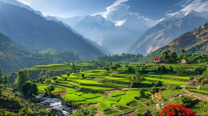 Wall Mural - Scenic Hunza Valley in Pakistan with terraced fields and mountains