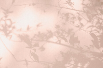 Aufkleber - Leaf tree shadow and light on wall pink background. Nature tropical leaves shadows sunshine of plant shade sunlight on white wall texture, rose gold color shadow overlay effect foliage mockup