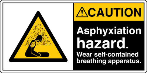 Poster - ANSI Z535 Safety Sign Marking...