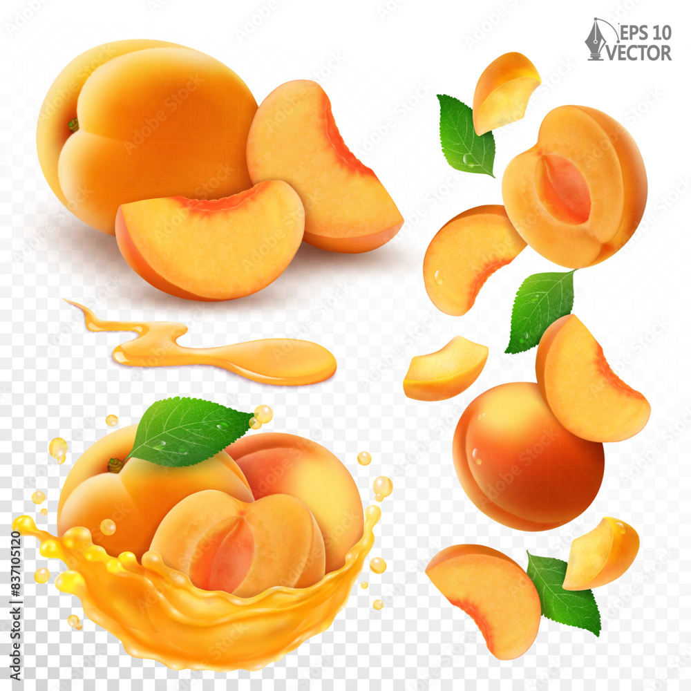 Vector set of apricots. Ripe whole and sliced fruits in a realistic ...