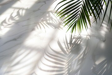 Poster - Green palm leaves cast intricate shadows on a white marble-textured wall, creating a tropical and serene ambiance.
