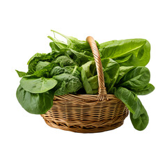 Poster - photo of green lettuce heads and spinach leaves displayed in a woven basket, isolated on a white background