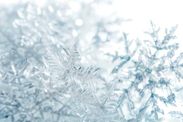 Wall Mural - A close up of snowflakes with a white background. The snowflakes are all different shapes and sizes, and they are all covered in a layer of frost. Concept of wonder and beauty