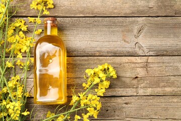 Canvas Print - Rapeseed oil in glass bottle and beautiful yellow flowers on wooden table, flat lay. Space for text