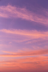 Wall Mural - Dramatic soft sunrise, sunset pink violet orange sky with cirrus clouds background texture