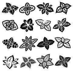 Wall Mural - Mint leaves set. Collection mint leaves icon. Vector