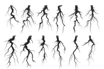 Poster - Black and white image of tree roots with intricate patterns and shapes
