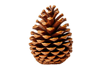 A large, brown pine cone isolated on a black background.  The cone is detailed with sharp scales and a rich texture.