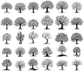 Wall Mural - ornamental tree black and white vector decoration, big collection set trees shapes