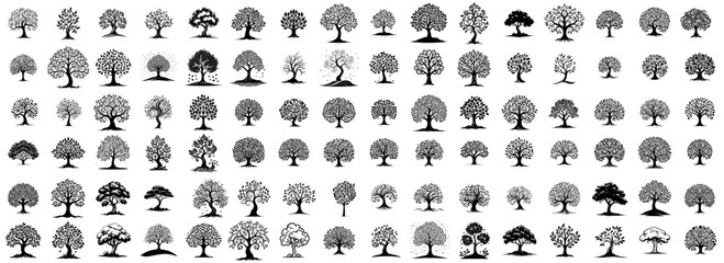 Wall Mural - ornamental tree black and white vector decoration, big collection set trees shapes