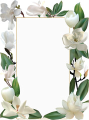 Canvas Print - magnolia flowers frame isolated on white