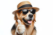 © Anna - Portrait of a beautiful dog in black sunglasses and a straw hat, holding a thumb up Isolated on white background