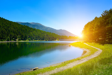 Wall Mural - Morning with bright sun on the shore of picturesque lake.