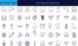 © mou - Human Body Line Editable Icons set. Vector illustration in modern thin line style of human anatomy icons: organs, body parts, skeleton parts, Pictograms and infographics for mobile. Isolated on white