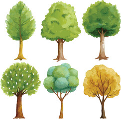 Set of Watercolor Trees Without Background for Easy Customization