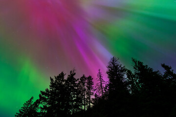 amazing aurora borealis northern lights seen over washington state, usa